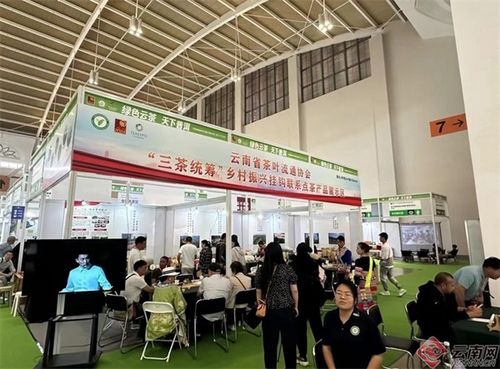 普洱茶博覽會 云南省茶葉流通協(xié)會 三茶統(tǒng)籌 鄉(xiāng)村振興掛鉤聯(lián)系點茶產(chǎn)品亮相